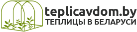 logo1_teplicavdom old plus.png